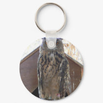 Staring owl keychains by Yarijik Staring owl keychains