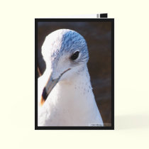 Stark Contrast cards by MoiraAshleigh Stark Contrast cards
