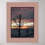 Starkness and Beauty Print