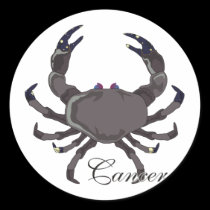 Starlight Cancer Stickers