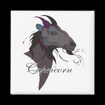 Starlight Capricorn Magnets magnets