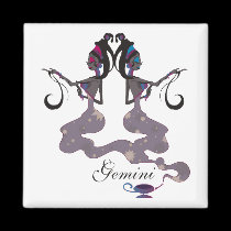 Starlight Gemini Magnets