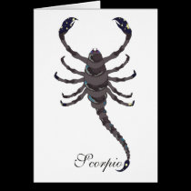 Starlight Scorpio Cards cards