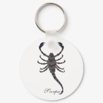 Starlight Scorpio Keychains