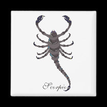 Starlight Scorpio Magnets magnets