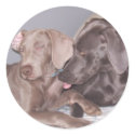 Starr & Lady stickers by jojoluvschevy Starr & Lady stickers