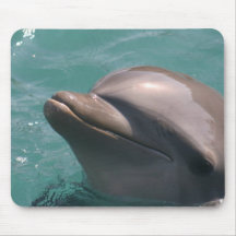 Starring a Dolphin Mouse Pad