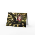 Starry Holiday Greeting cards