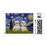 Starry Night - 2 Sihih Tzus (P+Y) Postage Stamp
