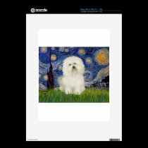 Starry Night - Bolognese 1 skins