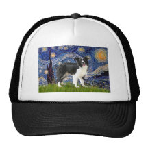 Starry Night - Border Collie (Z) Mesh Hat