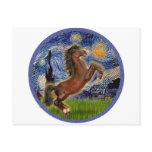 Starry Night - Brown Horse Rearing Post Cards