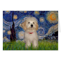 Starry Night - Havanese Puppy Greeting Cards
