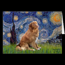 Starry Night - Nova Scotia Duck Rolling Retriever cards
