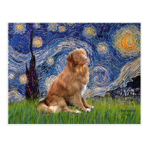 Starry Night - Nova Scotia Duck Rolling Retriever Postcard