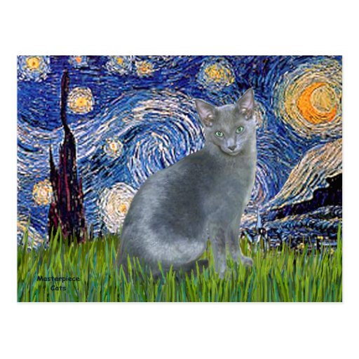 Starry Night - Russian Blue cat 2 Post Cards
