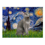 Starry Night - Russian Blue cat Postcards