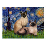 Starry Night - Two Siamese cats (Choc Pt) Post Card