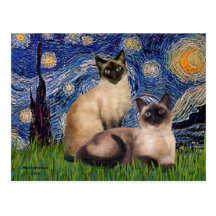 Starry Night - Two Siamese cats (Choc Pt) Post Card