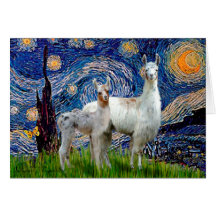 Starry Night with Two Llamas Cards