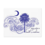 Starry Nights in South Carolina Post Cards