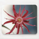 Starry Orchid Mousepad