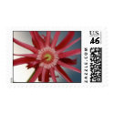 Starry Orchid Postage postage by pulsDesign Starry Orchid Postage postage