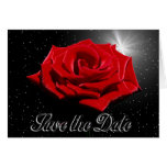 Starry Romantic Night cards
