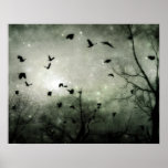 Stars and Crows Collide Posters