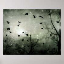 Stars and Crows Collide Posters