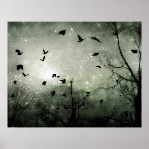 Stars and Crows Collide Posters