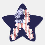 Stars and Stripes Flower Ribbon Star Stickers