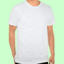 Stars and Stripes t-shirt