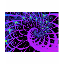 Stars Caught in a Cosmic Web Tee Shirts