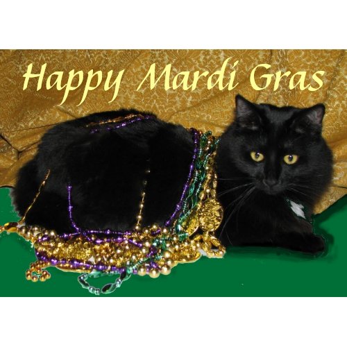 Star's Mardi Gras Card card