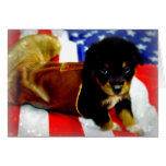 Stars Spangled Puppy Card