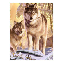 "Stars Under Snow" Post Card