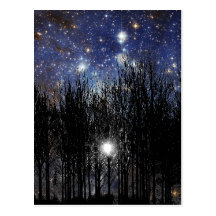 Starscape & Trees - Postcard