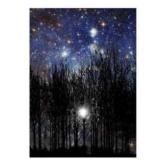 Starscape & Trees - Poster print