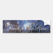 Starscape & Trees: Reach - Bumper Sticker