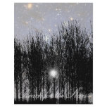 Starscape & Trees: Reach - Letterhead