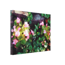 STARTING UNDER $100 - Begonias By Stone Wall Canvas Prints