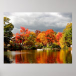 STARTING UNDER $20 - Autumn Storm Coming Print
