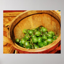 STARTING UNDER $20 - Basket of Green Grapes Poster