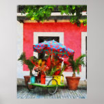 STARTING UNDER $20 - Flower Cart San Juan, Puerto Poster