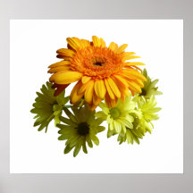 STARTING UNDER $20 - Orange Daisy With Yellow Mums Poster