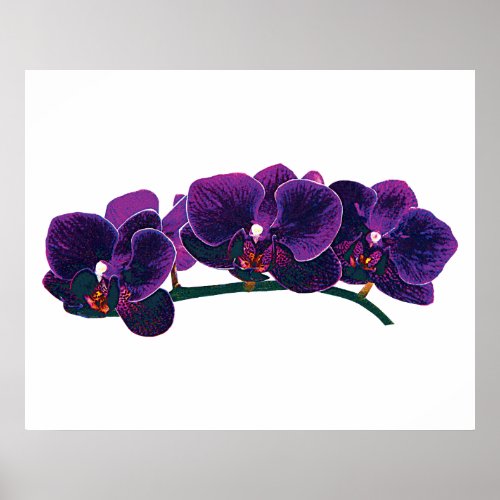 STARTING UNDER $20 - Purple Phalaenopsis Orchids print