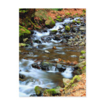 Starvation Creek Columbia Gorge Oregon Postcard