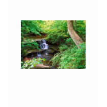 Starved Rock Park, Illinois t-shirts by fstasu50 Starved Rock Park, Illinois t-shirts