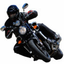 starVmax Photo Sculpture photo sculptures